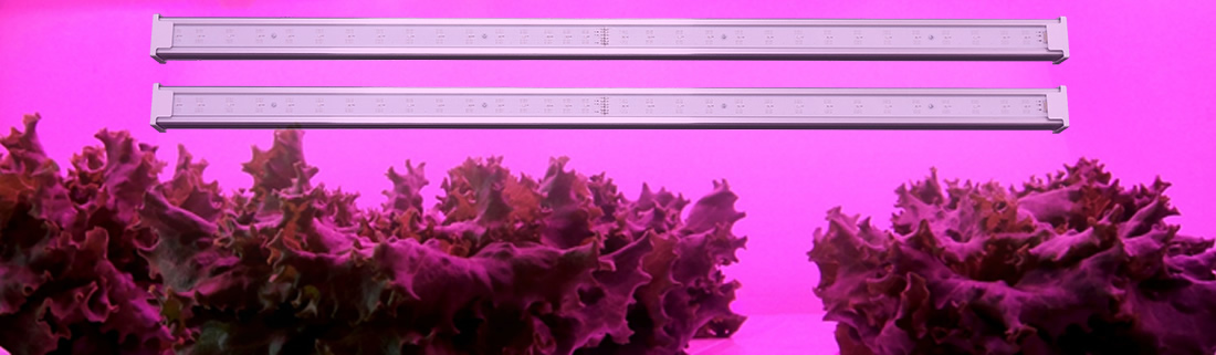 植物工場用LEDランプ